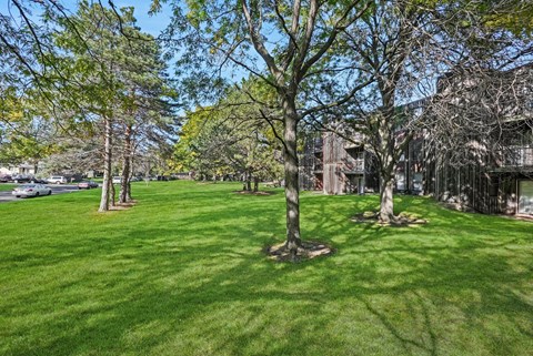 a green park with trees and a building in the background