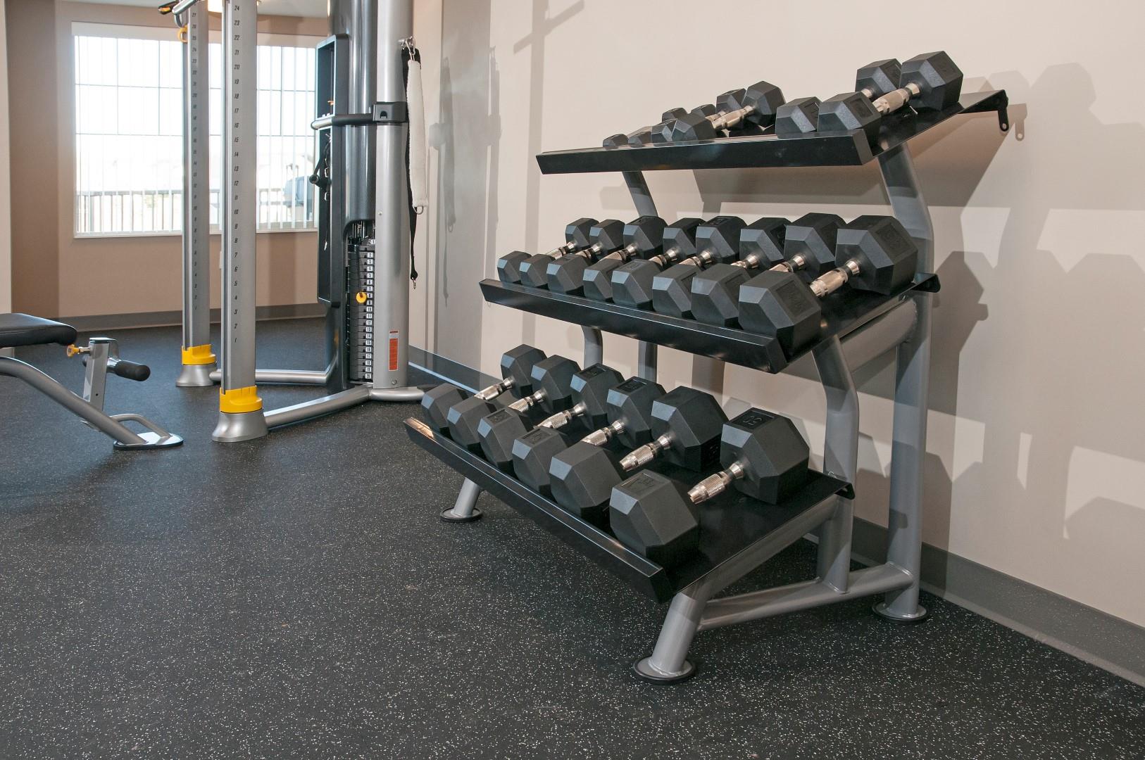 Free Weight Rack with Multiple Sizes of Weights in Fitness Studio of Carver Crossing