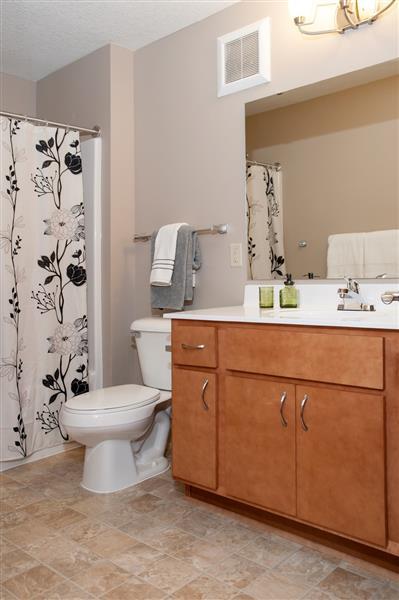 Spacious Master Bathroom with Tub Shower and Large Sink Vanity in Carver MN