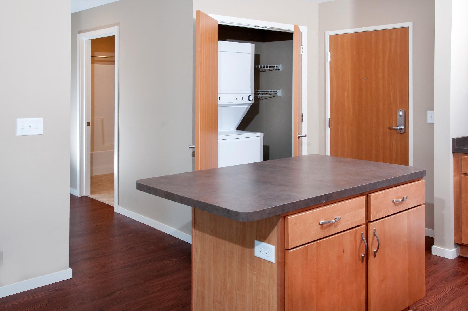 In-Unit Waster and Dryer in Apartment in Carver Minnesota