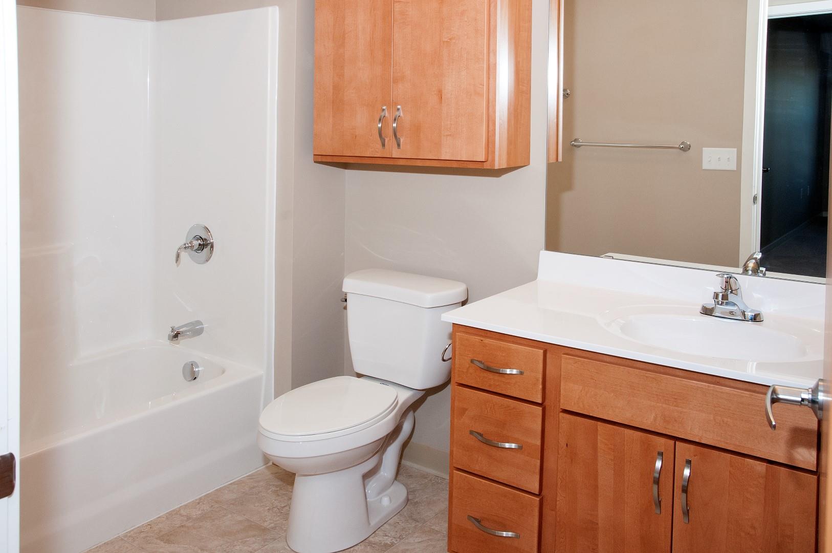 Carver Crossing Apartments Bathroom with Ample Storage with Wood Cabinetry