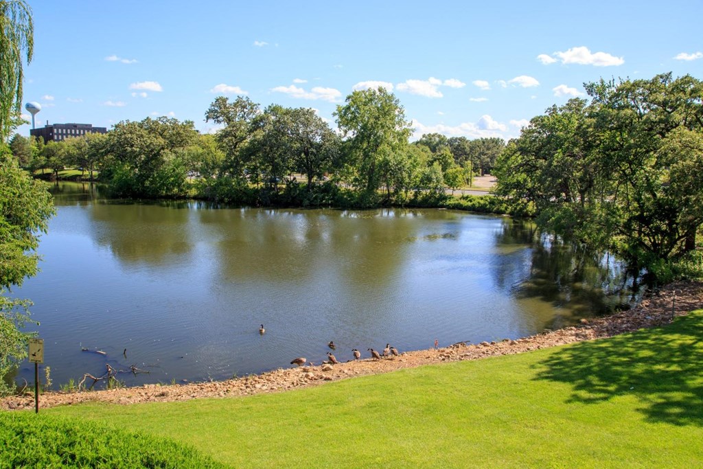 Beautiful pond views