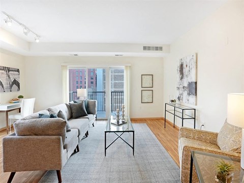 A living room with a grey rug and a grey couch.