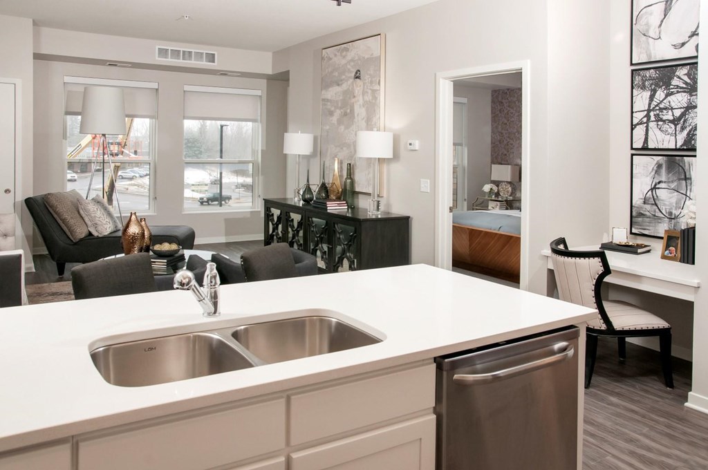 Double Stainless Steel Sink with Integrated Sprayer at Residences at 1700, Minnetonka, Minnesota