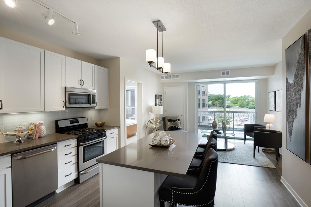 Modern Kitchen Gray Euro Style Cabinets at Residences at 1700, Minnetonka, MN