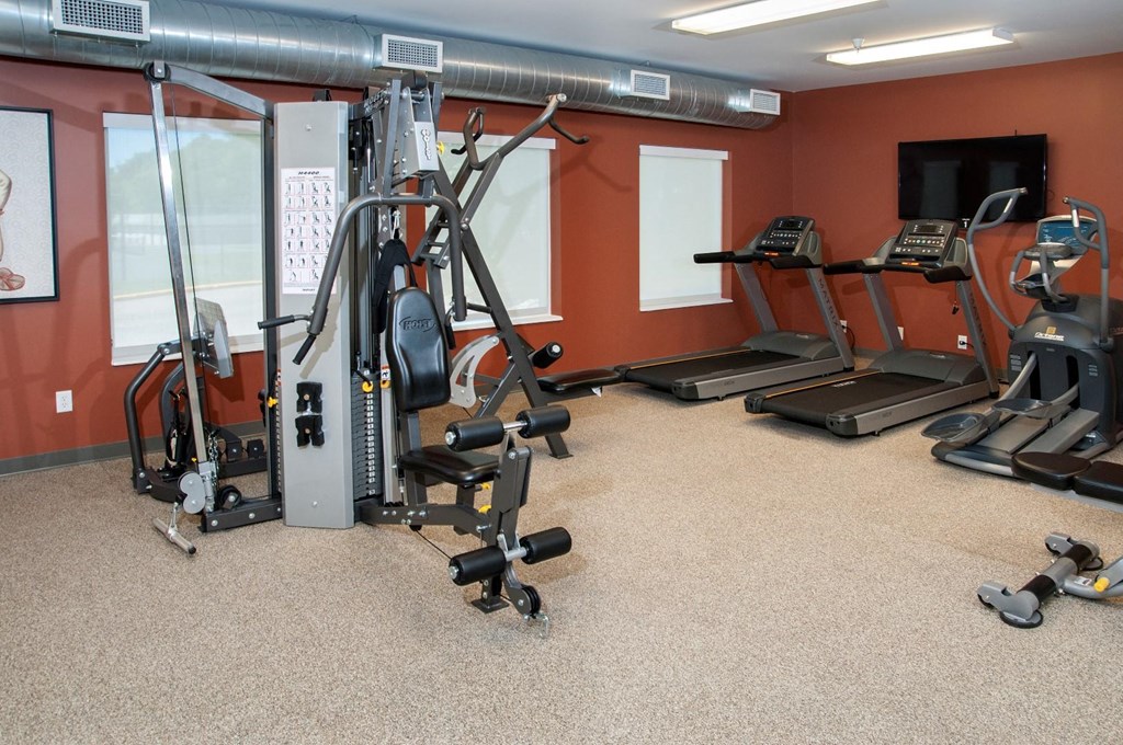 a gym with exercise equipment in a home gym