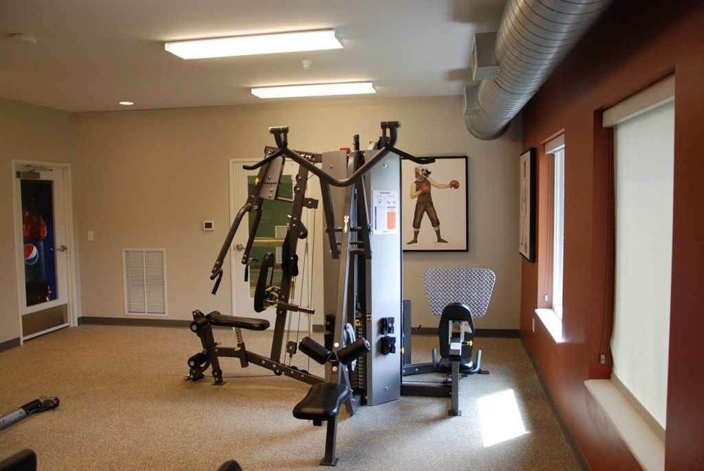 a home gym with exercise equipment and a painting on the wall