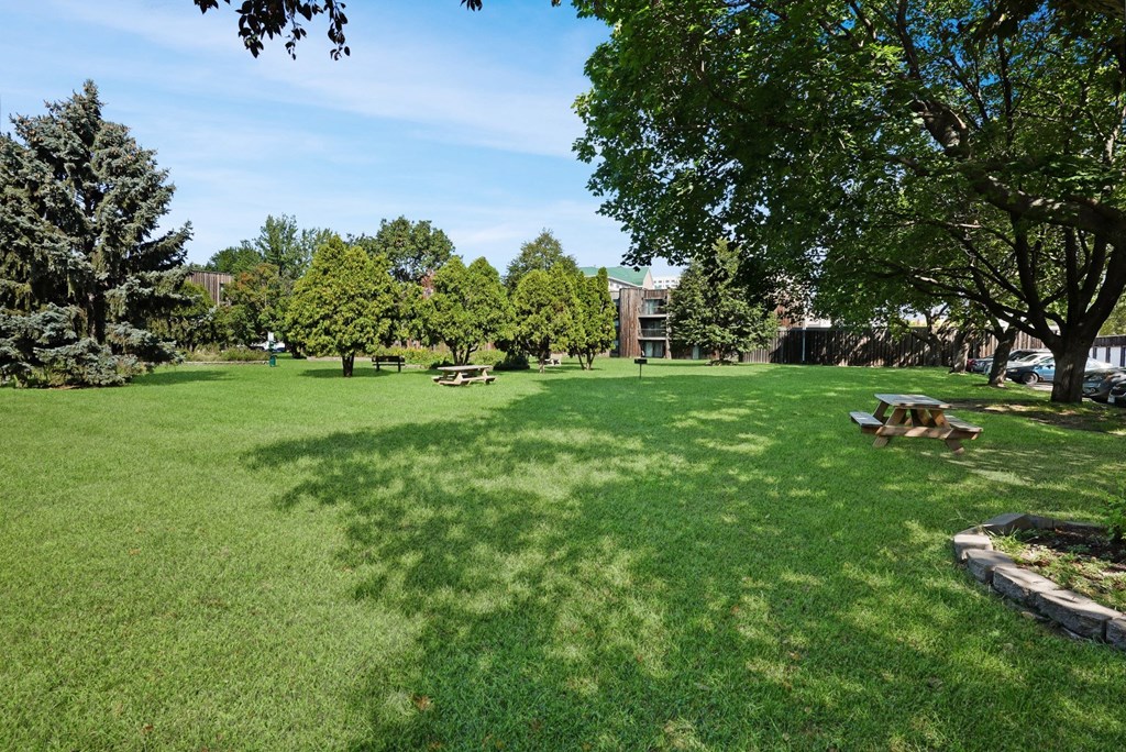 a large grassy park with trees and picnic tables