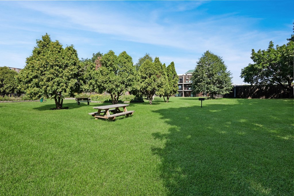 a park with a picnic table in the grass