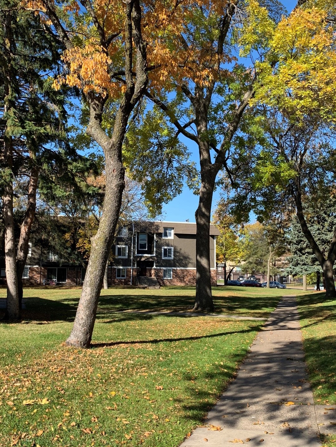 a sidewalk with trees in front of a building