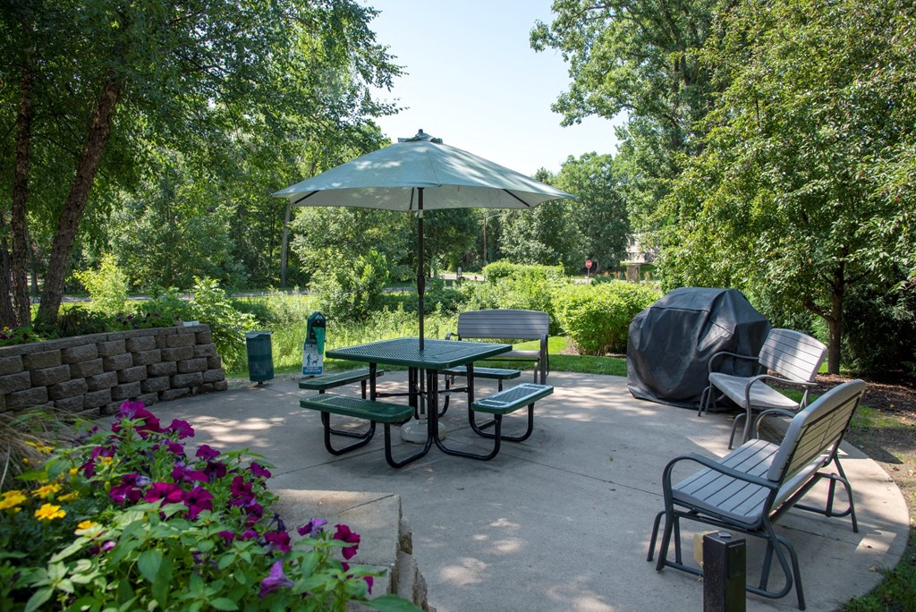 Patio and grilling area
