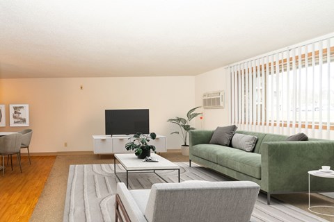 A living room with a grey couch, a coffee table, and a television.