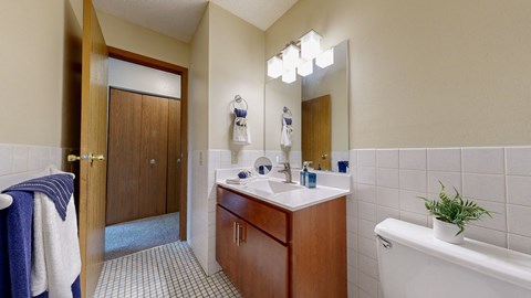 a bathroom with a sink and a toilet
