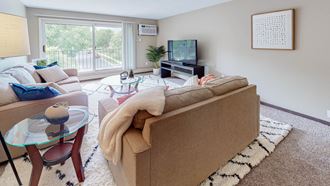 Living Room With TV Living Room With TV at Shoreview Grand, Minnesota