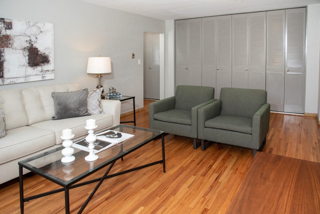 model living room with tons of closet space