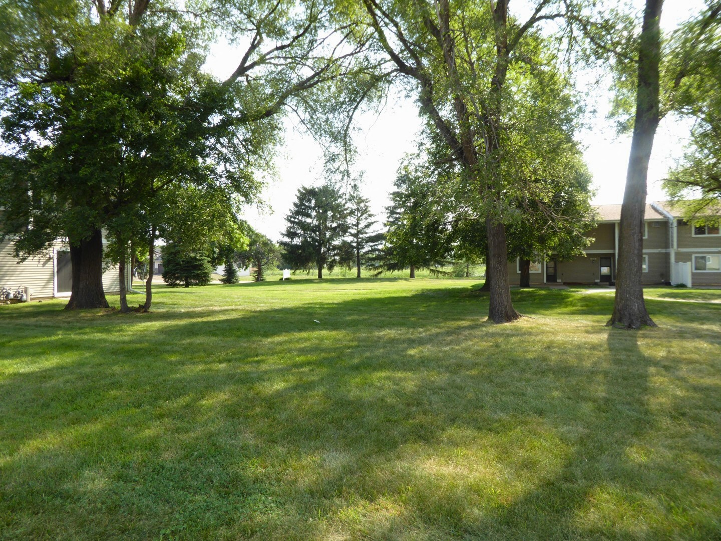 A grassy area with trees and a building in the background.