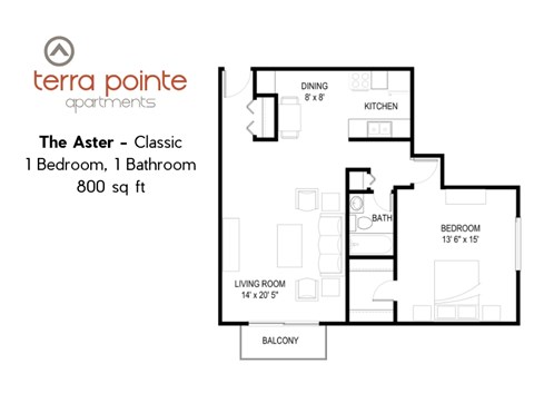 A floor plan for a 800 sq ft apartment with one bedroom and one bathroom.