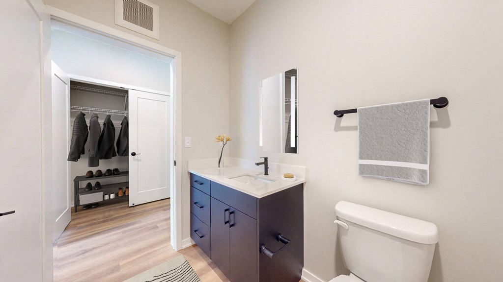 a bathroom with a sink and a toilet and a closet