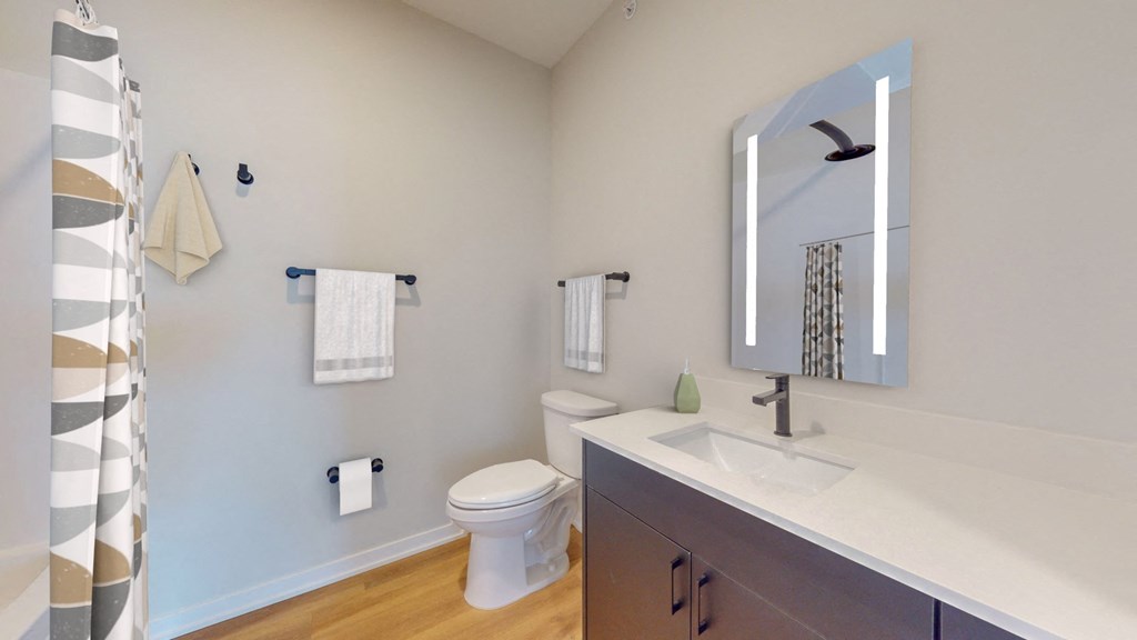 a bathroom with a sink and a toilet and a mirror
