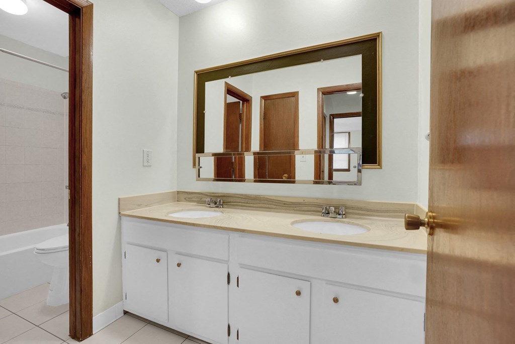 a bathroom with a sink and a mirror and a toilet