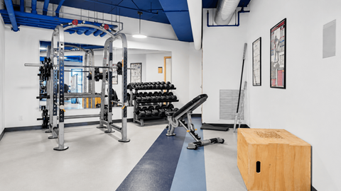 A gym with a variety of equipment including a squat rack, bench press, and a rowing machine.