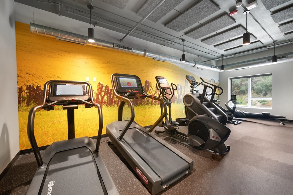 Cardio Machines at The Yards and Backyards, South St. Paul, 55075