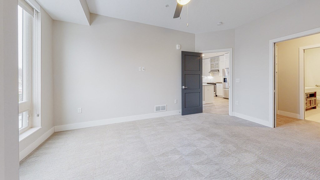 a bedroom with gray walls and a white carpet