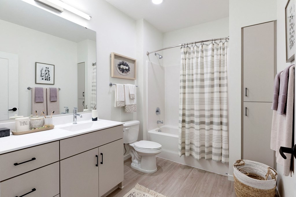Master Bathroom With Large Vanity Area  at The Hill Apartments, Saint Paul, 55102