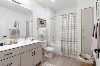 Master Bathroom With Large Vanity Area Master Bathroom With Large Vanity Area at The Hill Apartments, Saint Paul, 55102 - Photo Gallery 6