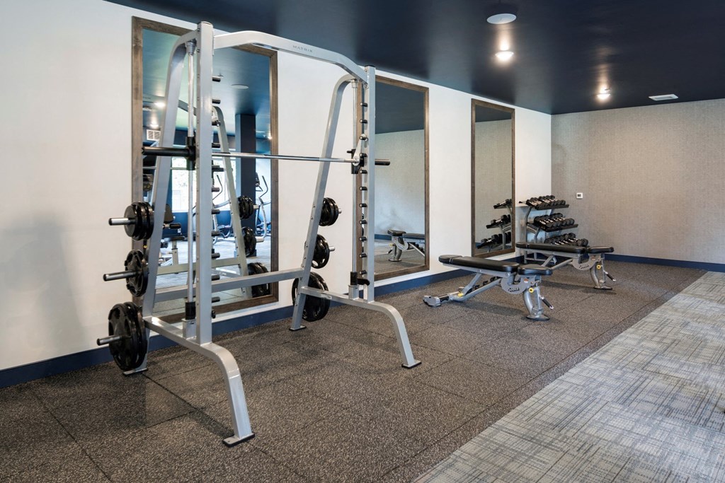 Weights in Fitness Room at The McMillan Apartments in Shoreview, MN 55126