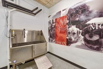a sink and tap in a small room with a large picture of dogs on the wall
