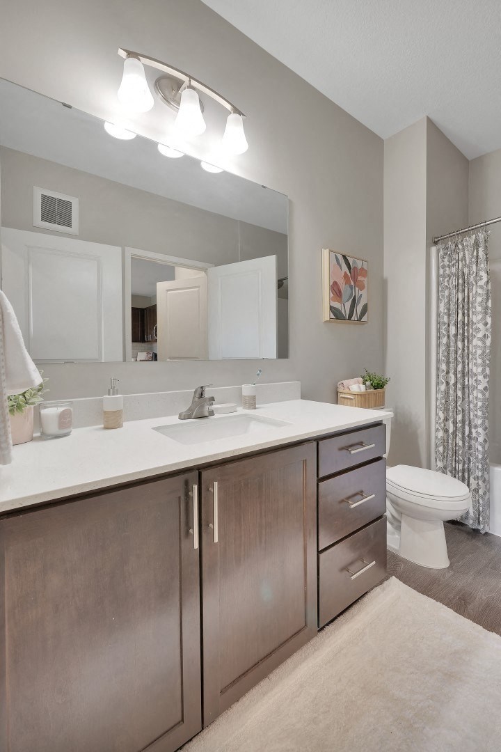 a bathroom with a sink and a toilet and a mirror