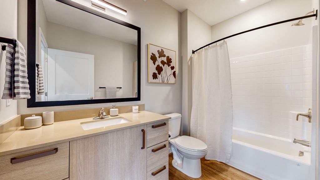 a bathroom with a mirror and a toilet and a shower