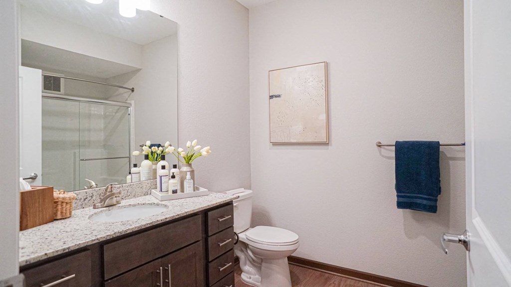 a bathroom with a sink and a toilet and a mirror