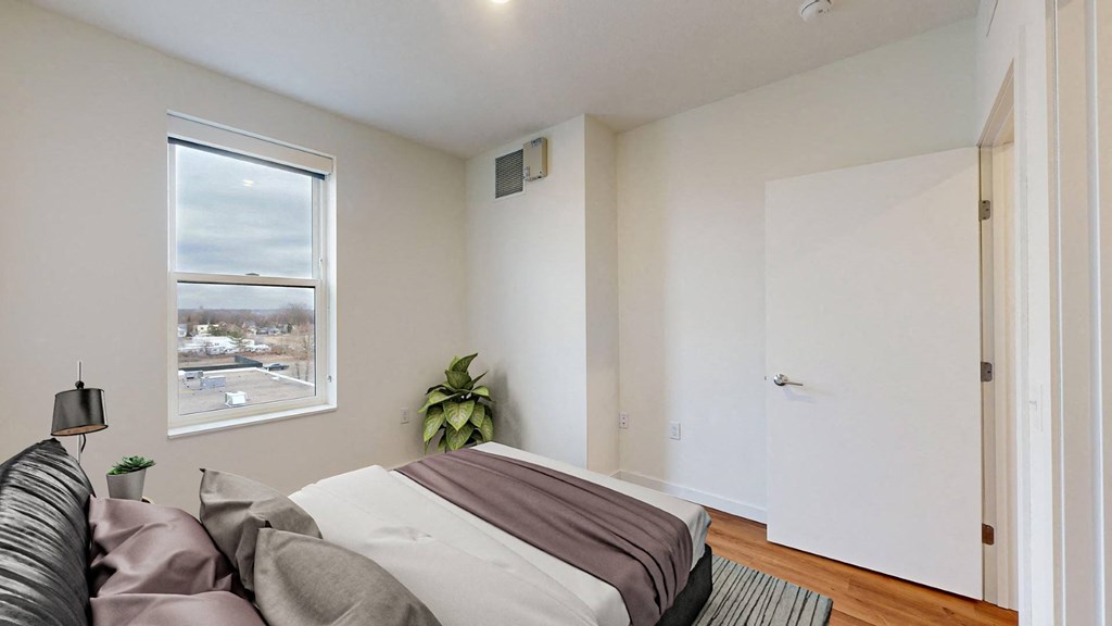 A bedroom with a bed, pillows, a lamp, and a plant.