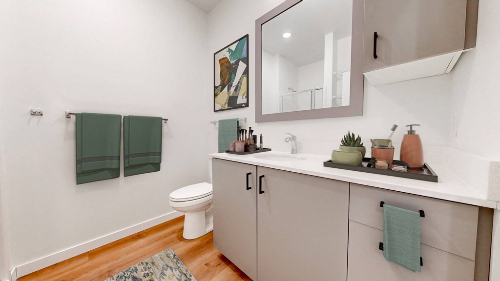 a bathroom with a sink and a toilet and a mirror