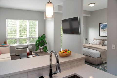 nordic studio floor plan, living and bedroom, floating tv wall at Urban Park I and II Apartments, St Louis Park, MN, 55426