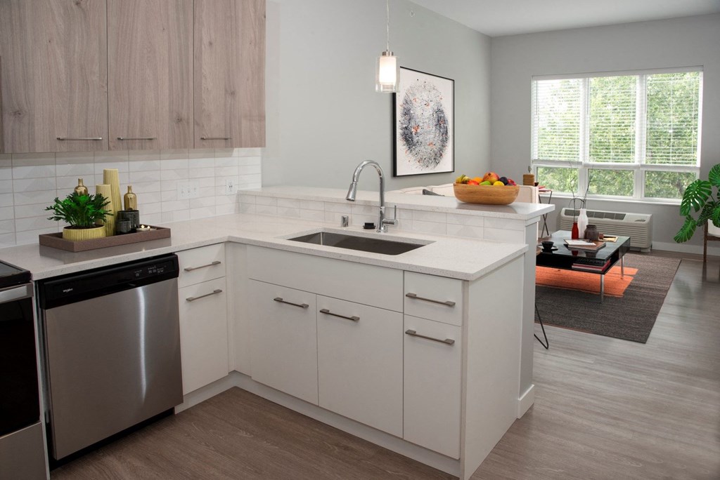 nordic floor plan, studio, kitchen and living area at Urban Park I and II Apartments, Minnesota