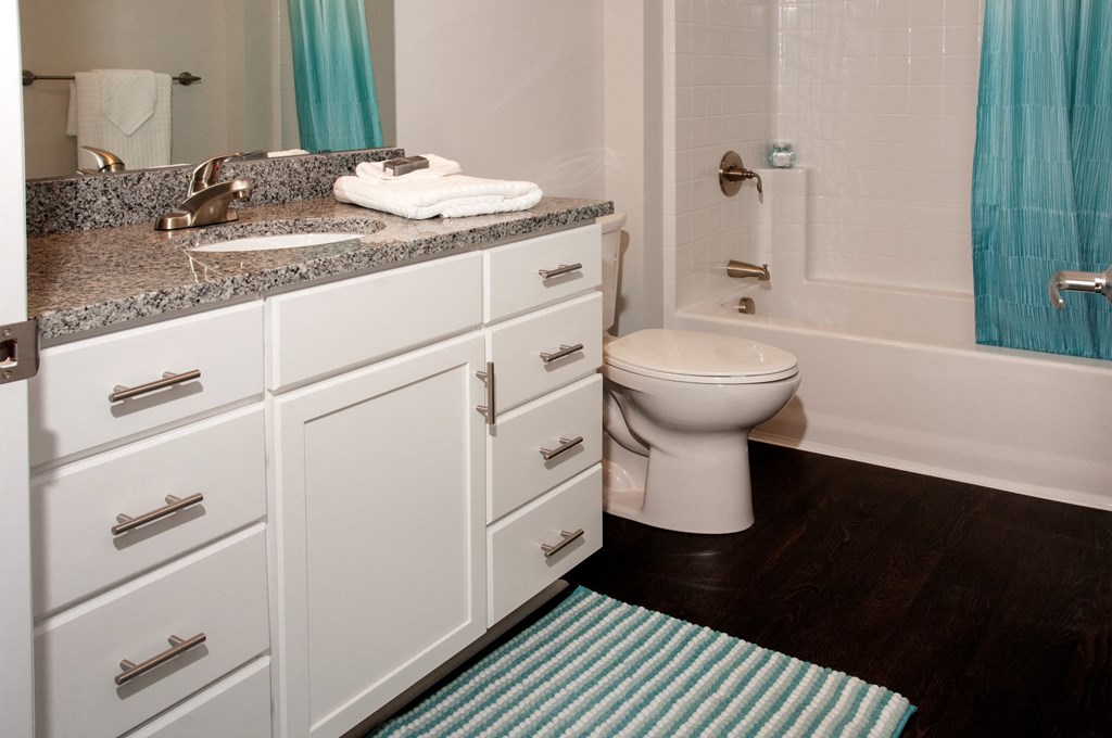 Custom Vanity Storage at Victoria Flats, Minnesota