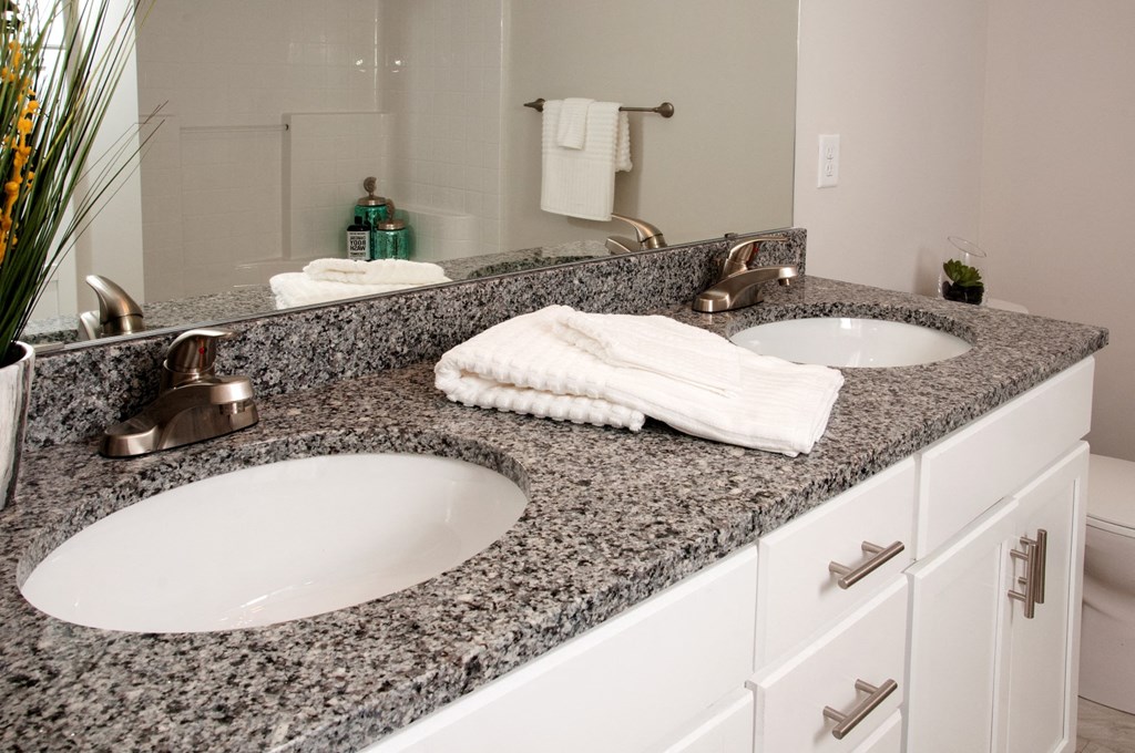Vanity With Granite Slab And Dual Sink at Victoria Flats, Minnesota, 55386