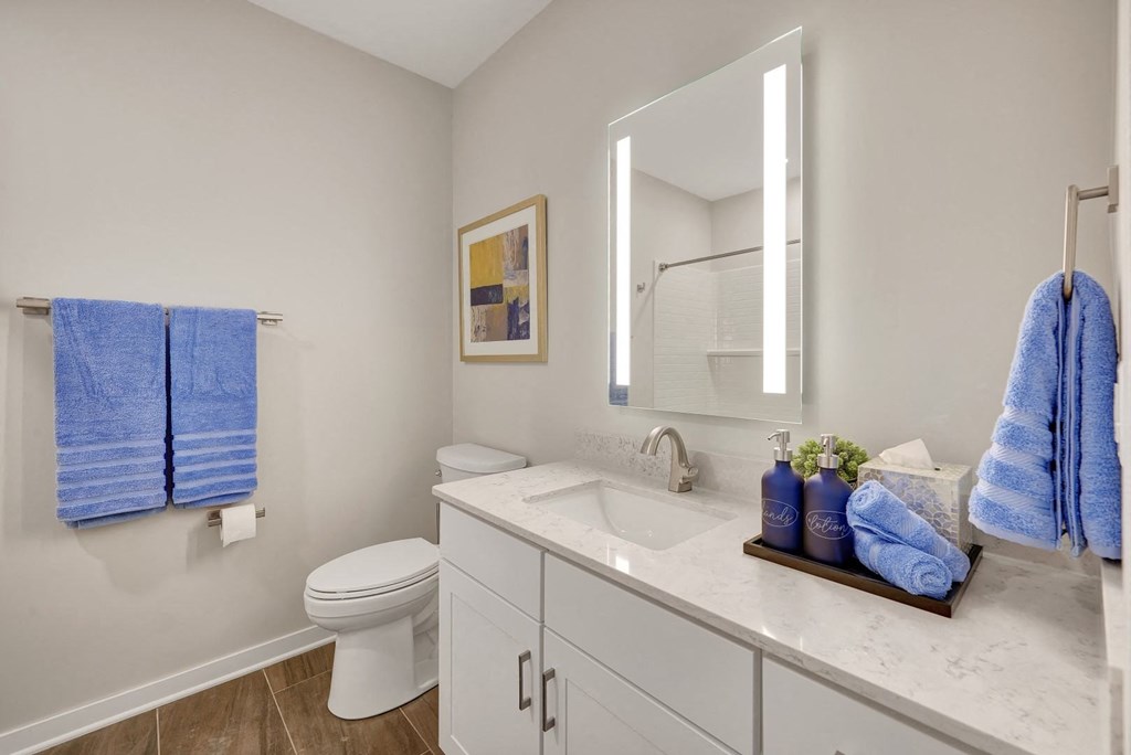 a bathroom with a white toilet and a sink with a mirror above it