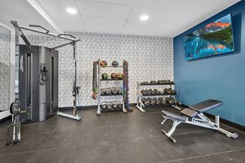 Free Weights