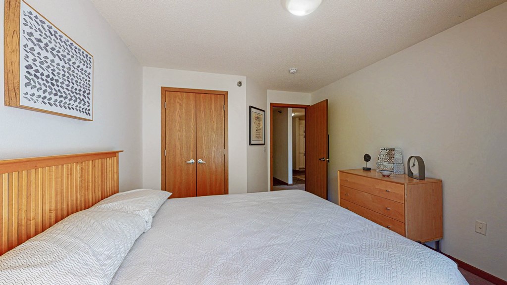 a bedroom with a bed and a dresser and a closet