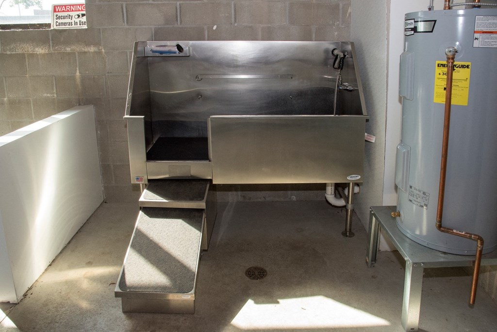 dog wash station