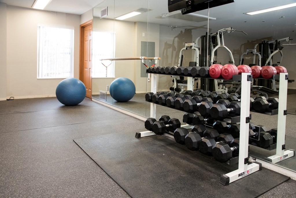 fitness center with free weights