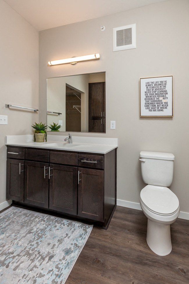 a bathroom with a toilet and a sink and a mirror