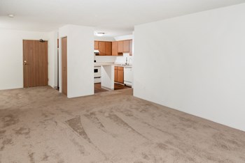 Living Room Carpet at Audenn Apartments, Minnesota - Photo Gallery 24