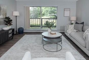 Living Room With Private Balcony at Audenn Apartments, Bloomington - Photo Gallery 10