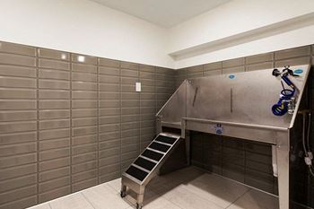 Pet Wash at The M on Hennepin, Minneapolis, MN