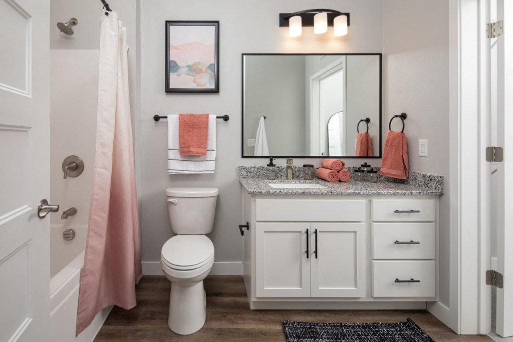 A bathroom with a toilet, sink, and mirror.at The Edison at Maple Grove, Minnesota